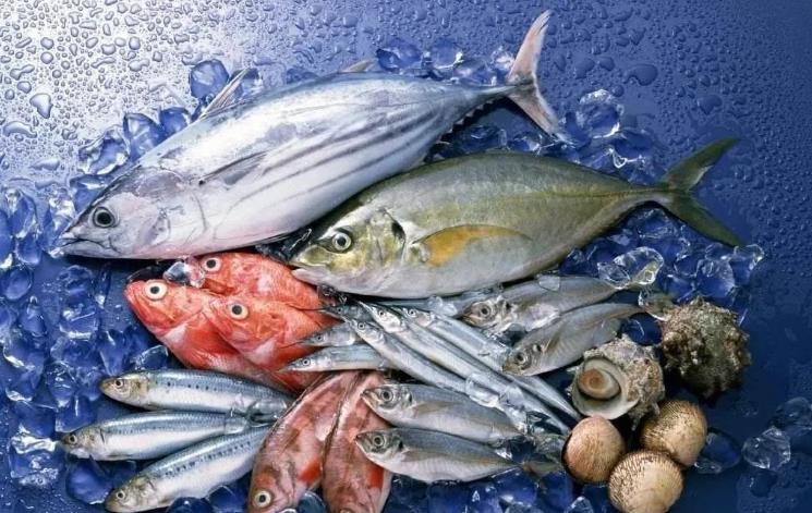 臺灣曝光：日本秋刀魚含致癌物超標40倍，島內網民憂心食品安全