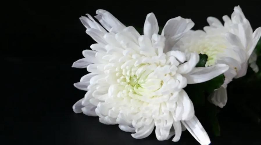 英勇犧牲！50歲民警與歹徒搏斗，身中15刀殉職